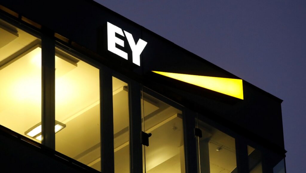 ey business model