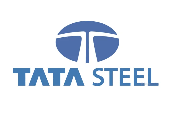 Tata Steel, Business